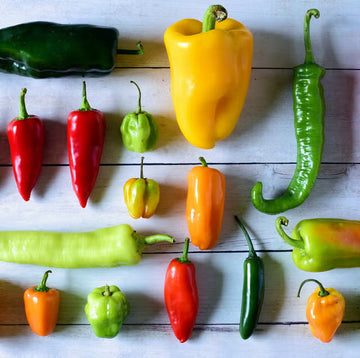Top-10-Peppers-to-grow-in-your-garden-this-year