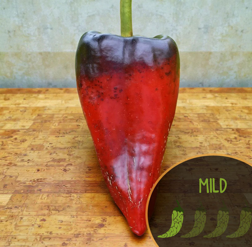 Aces and 8s Poblano Cross pepper seeds - rare variegated heirloom pepper from Casa Verde