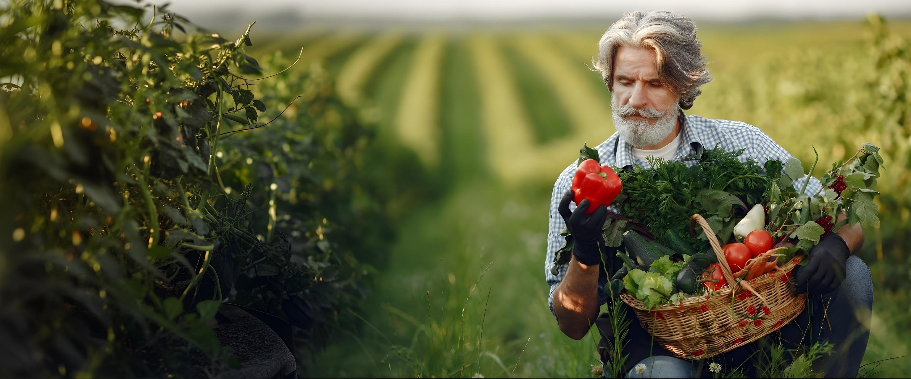 Casa_Verde_Pepper-seed-shop-banner1621243260e1af0c20-1