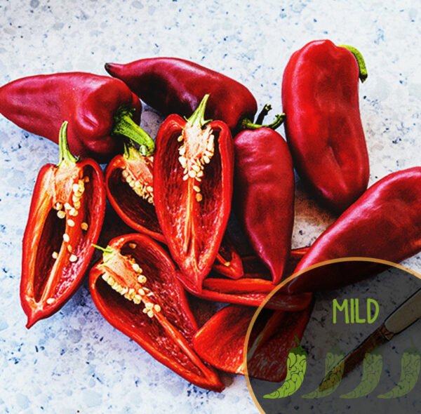 Red Ajvarski peppers with one sliced open on a textured surface, labeled 'MILD'.